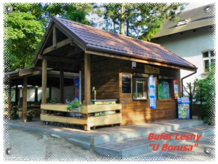 Bufet Leśny "U Borusa"