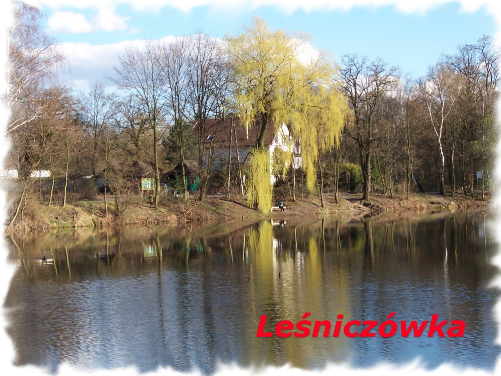 Leśniczówka widok na Leśniczówkę